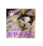 りあんちの猫スタ（個別スタンプ：4）