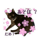 りあんちの猫スタ（個別スタンプ：6）