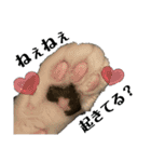 りあんちの猫スタ（個別スタンプ：11）