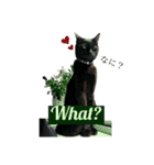 りあんちの猫スタ（個別スタンプ：13）