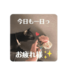 りあんちの猫スタ（個別スタンプ：15）