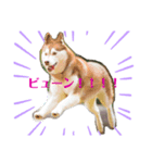huskyノエルのスタンプ（個別スタンプ：2）