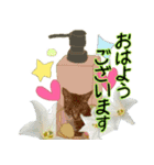 大人かわいい猫ボトル（個別スタンプ：1）