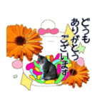 大人かわいい猫ボトル（個別スタンプ：4）