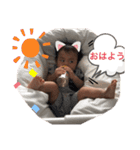 りっくんとチップの挨拶スタンプ★（個別スタンプ：12）