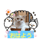 日常会話 みるたん スタンプ（個別スタンプ：1）