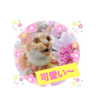 日常会話 みるたん スタンプ（個別スタンプ：7）