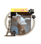 日常会話 みるたん スタンプ（個別スタンプ：9）
