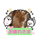 日常会話 みるたん スタンプ（個別スタンプ：12）