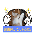 日常会話 みるたん スタンプ（個別スタンプ：13）