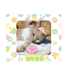日常会話 みるたん スタンプ（個別スタンプ：37）