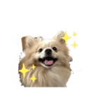 プウ太郎(2)（個別スタンプ：8）