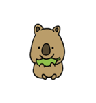 ちびまるず（個別スタンプ：6）