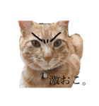 どーもちゃちゃまるです。（個別スタンプ：8）