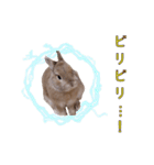 小うさぎたくさんまとめてみた！（個別スタンプ：2）