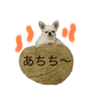 ぽこちゃんスタンプ！3（個別スタンプ：2）