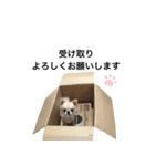 ぷー一家（個別スタンプ：15）