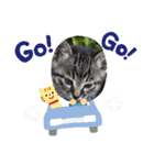ピァちゃん（個別スタンプ：15）