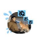 柴犬むぎのスタンプ（個別スタンプ：2）