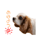 ココナちゃんと一緒（個別スタンプ：1）