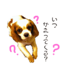 ココナちゃんと一緒（個別スタンプ：3）