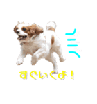 ココナちゃんと一緒（個別スタンプ：4）