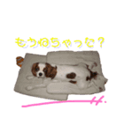 ココナちゃんと一緒（個別スタンプ：7）