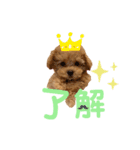 TEEchanSTAMP（個別スタンプ：6）