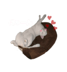 ねこときどきいぬねずみ（個別スタンプ：7）