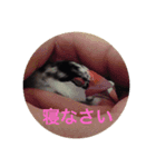 生き物に聞け（個別スタンプ：1）