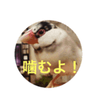 生き物に聞け（個別スタンプ：3）