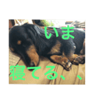 生き物に聞け（個別スタンプ：5）