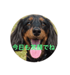 生き物に聞け（個別スタンプ：6）