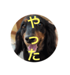 生き物に聞け（個別スタンプ：7）