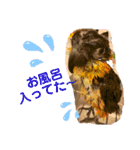 インコ ズグロシロハラ オカメ コザクラ（個別スタンプ：7）