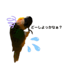 インコ ズグロシロハラ オカメ コザクラ（個別スタンプ：14）