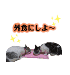 うちの子スタンプ～家族で使える～（個別スタンプ：2）