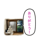 トイレの小窓さん（個別スタンプ：2）