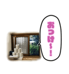 トイレの小窓さん（個別スタンプ：7）