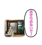 トイレの小窓さん（個別スタンプ：11）