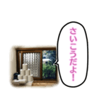 トイレの小窓さん（個別スタンプ：12）