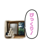 トイレの小窓さん（個別スタンプ：13）