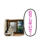 トイレの小窓さん（個別スタンプ：15）