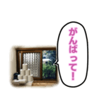 トイレの小窓さん（個別スタンプ：17）