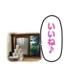 トイレの小窓さん（個別スタンプ：19）