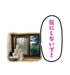 トイレの小窓さん（個別スタンプ：31）