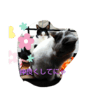 仲良しキャットファミリー4（個別スタンプ：9）