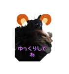 仲良しキャットファミリー4（個別スタンプ：10）