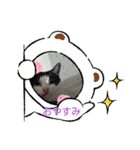 仲良しキャットファミリー4（個別スタンプ：17）