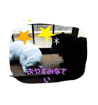 仲良しキャットファミリー4（個別スタンプ：23）